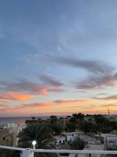 Havana House - Dahab - 5