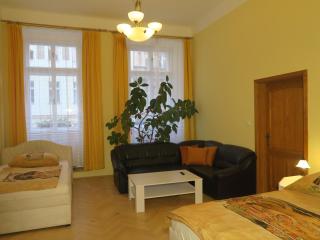 Apartments near Lesser Town - Prague - 1