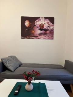 Prague Star Apartment 2 - Praga - 3