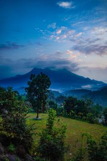 Space Rock Resort - Kalpetta - 9