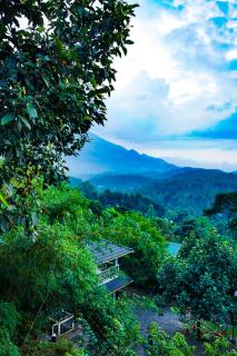 Space Rock Resort - Kalpetta - 8