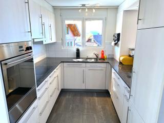 SwissHut Stunning Views Alps Lake - Apart. Innerdorf - 1