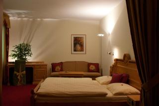 Hotel Lizumerhof - Axamer Lizum - 5