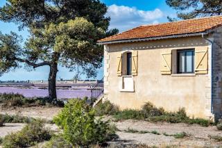 Nuits Salines Aigues-Mortes - 7