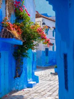 Casa Barhoun - Chefchaouen - 8