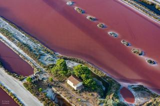 Nuits Salines Aigues-Mortes - 2