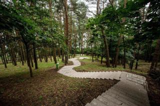 Apartament Palmowy Zakątek - Serock - 1
