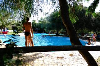 Happy Camp mobile homes in Selema Camping - Santa Lucia - 0