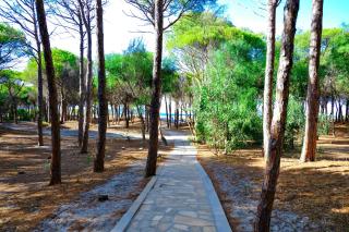 Happy Camp mobile homes in Selema Camping - Santa Lucia - 8