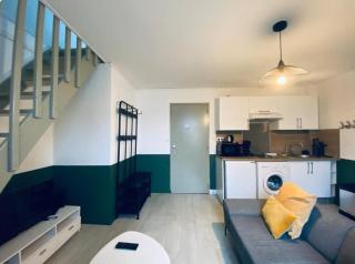 Joli Duplex - centre ville - Verde - Angers - 7