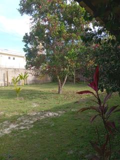 Quartos para Temporada para Veganos - 5