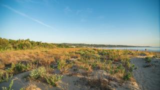 Happy Camp Mobile Homes in Il Pioppeto Camping&Residence - 1