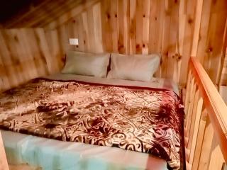 woodland duplex cottage 2 Jibhi - 2