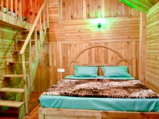 woodland duplex cottage 2 Jibhi - 5