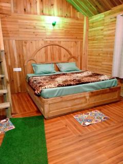 woodland duplex cottage 2 Jibhi - 9