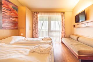 Vulkán Wellness Hotel & Camping - Celldömölk - 9