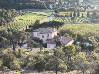 Villa Les Vignes - Le Revest - 6