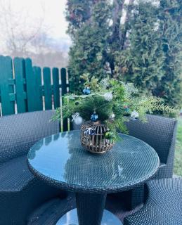 Appartment Pruhonice & terrace - Prŭhonice - 6