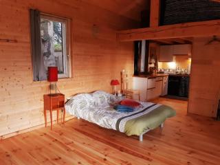 Loft indépendant en bord de Tarn - Rabastens - 4