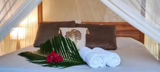 La villa Francesca et La Perle de Francesca by Martiniquesun - 4