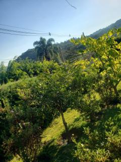 Chácara Leão de Judá - 4