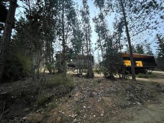 Hermosa casa en el bosque - Algarrobo - 7