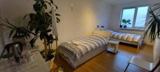 B&B luxury villa, free parking, close to the center - L'Aia - 5