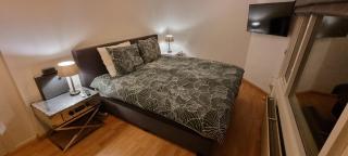Lake house 21 relax accommodation iR Sauna - Warmond - 4