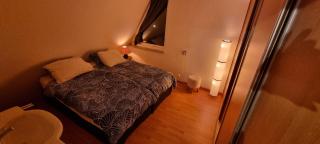 Lake house 21 relax accommodation iR Sauna - Warmond - 3
