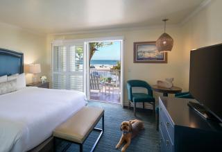 Avila Lighthouse Suites - Avila Beach - 9