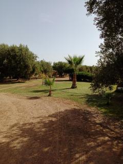 John's Place - Chrabli - 8