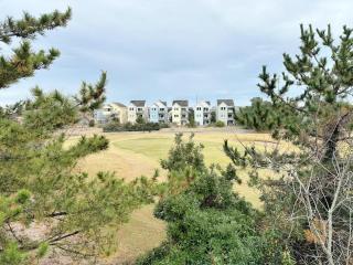 CW03 Starfish Serenade - Nags Head - 6
