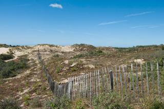 Evancy Etoile Des Dunes - Bray-Dunes - 2