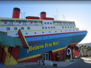 Calypso 803W - Panama City Beach - 4
