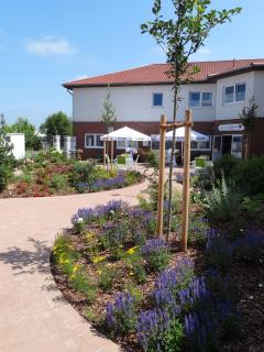 Hotel Rosenhof - Isenbüttel - 2