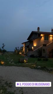 Il Poggio di Musignano - 3