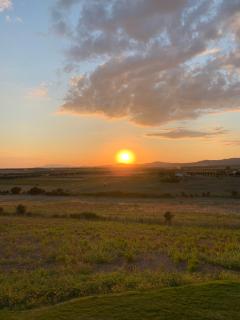 Il Poggio di Musignano - 7