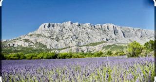 Le Clos d'Aix studio 211 parking - 7