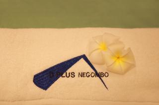 D Plus Homestay Negombo - Negombo - 6