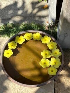 Pousada Casa Caju Bangalows - 2