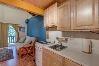 Mt Baker Lodging Condo - Perfect for Smaller Families on the Go - 5