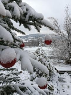 W Zaciszu Gomólnika - 3