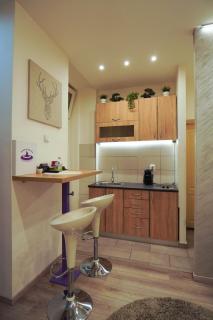 Purple - Belgrado - 7