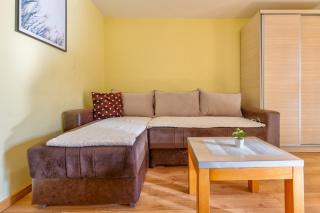 Vila Narcis Zlatibor - Zlatibor - 1
