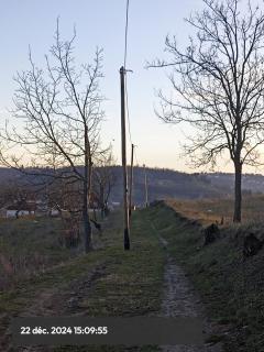 Stasha - 5