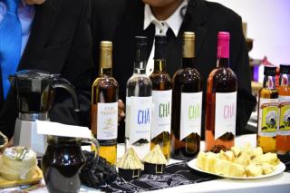 Casa Adriano & Filomena Montrond - 5