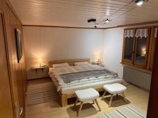 Enzian 4 Zi Ferienwohnung in Landhaus - Frutigen - 5