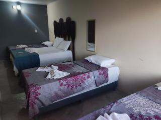 BeachFront-Milagres - 1