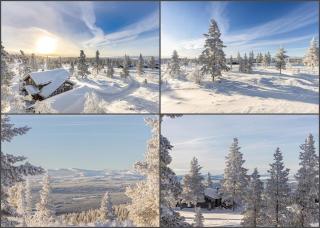Moderne hytte plass for 10 - Rendalen - 3
