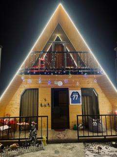 Mountain Cottage - Ananuri - 3